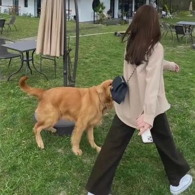 惊悚经典